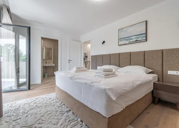 New! Luxury Carlotte With 11m Pool Villa Poreč