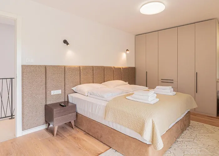 New! Luxury Carlotte With 11m Pool Villa Poreč